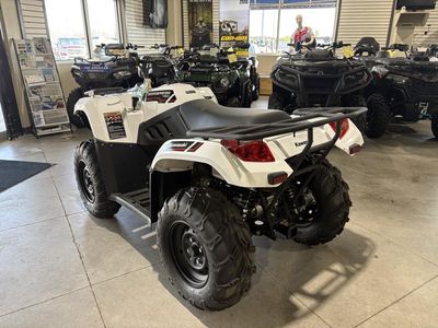 2025 Kawasaki Brute Force 450 4x4 - Photo 5