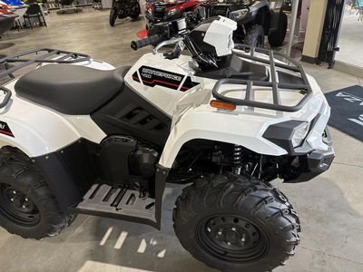 2025 Kawasaki Brute Force 450 4x4 - Photo 9