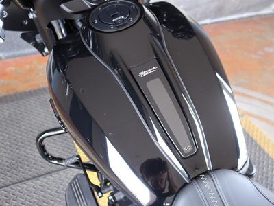 2025 Harley-Davidson FLHX - Street Glide - Photo 15