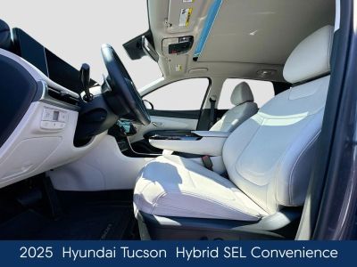 2025 Hyundai Tucson Hybrid - Photo 24