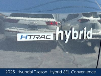 2025 Hyundai Tucson Hybrid - Photo 11