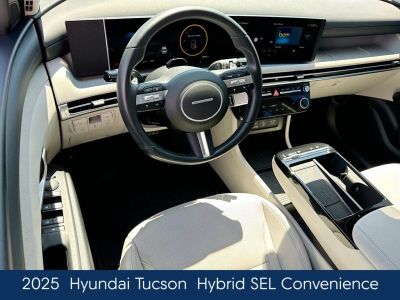 2025 Hyundai Tucson Hybrid - Photo 25