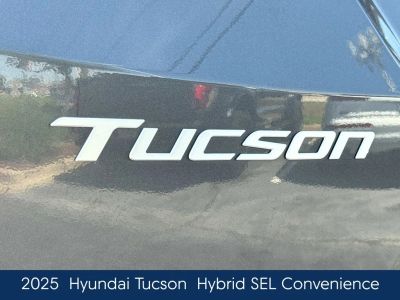 2025 Hyundai Tucson Hybrid - Photo 10