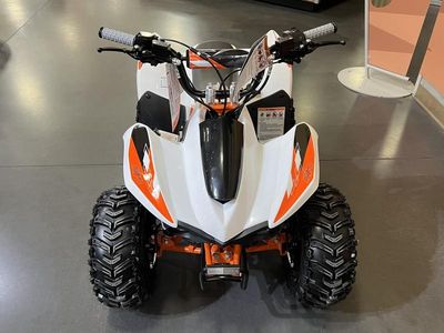2026 Kayo Fox / Storm 70 - Photo 3