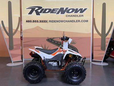 2026 Kayo Fox / Storm 70 - Photo 1