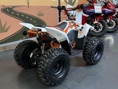 2026 Kayo Fox / Storm 70 - Photo 4