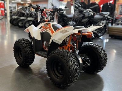 2026 Kayo Fox / Storm 70 - Photo 19