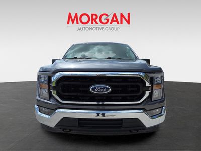2023 Ford F-150 — photo 8 view