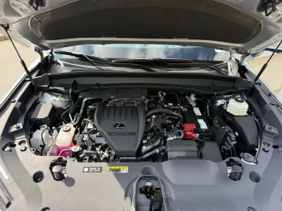 2025 Lexus TX - Photo 16
