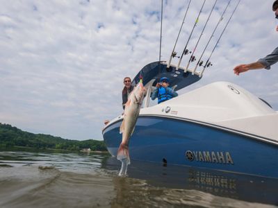 2026 Yamaha Boats 252 FSH Sport — front three-quarter view