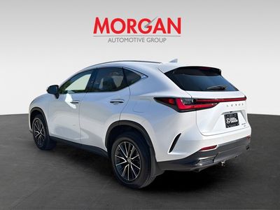 2024 Lexus NX - Photo 5