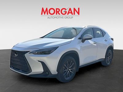 2024 Lexus NX - Photo 7