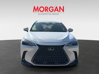 2024 Lexus NX - Photo 8