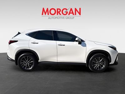 2024 Lexus NX - Photo 2