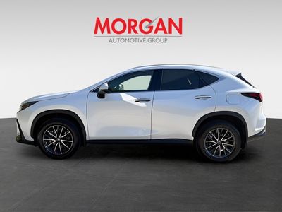 2024 Lexus NX - Photo 6