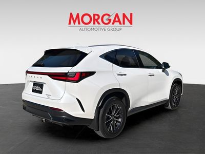 2024 Lexus NX - Photo 3