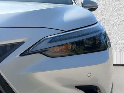 2024 Lexus NX - Photo 9