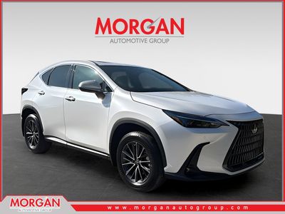 2024 Lexus NX - Photo 1