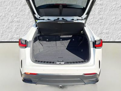 2024 Lexus NX - Photo 12