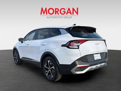2024 Kia Sportage — detail view