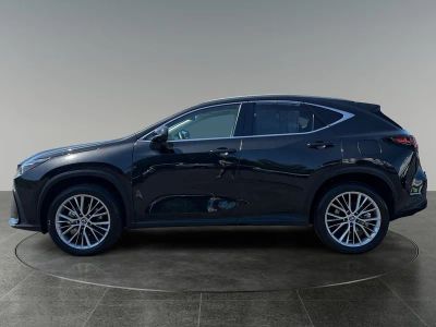 2024 Lexus NX — detail view