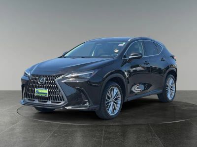 2024 Lexus NX — rear three-quarter view