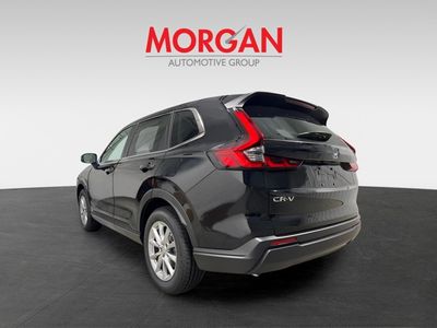 2026 Honda CR-V — photo 7 view