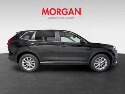 2026 Honda CR-V — rear three-quarter view