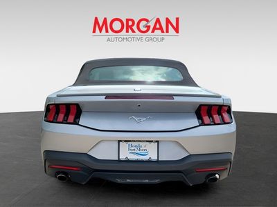 2024 Ford Mustang - Photo 5