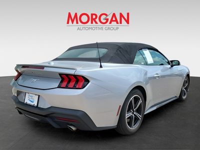 2024 Ford Mustang - Photo 6