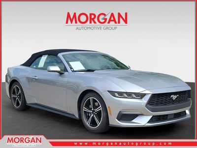 2024 Ford Mustang - Photo 1