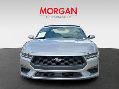 2024 Ford Mustang - Photo 2