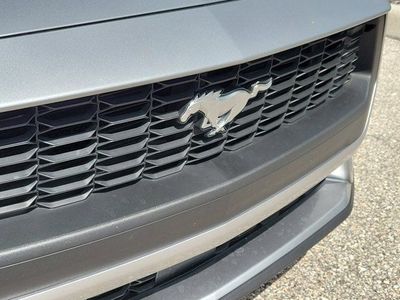 2024 Ford Mustang - Photo 7