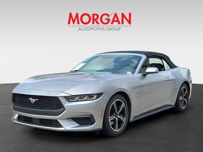 2024 Ford Mustang - Photo 3