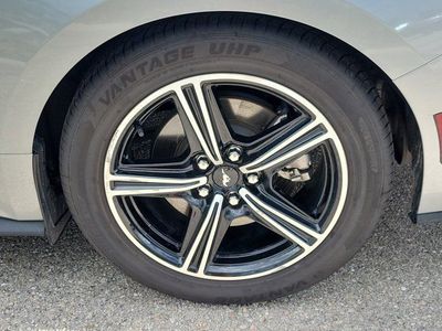 2024 Ford Mustang - Photo 8
