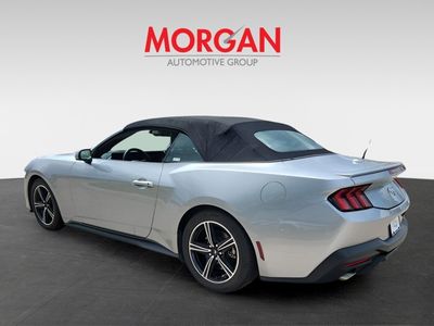 2024 Ford Mustang - Photo 4