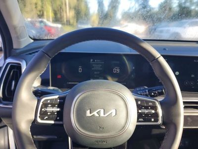 2025 Kia Sorento — photo 13 view