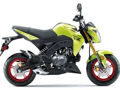 2026 Kawasaki Z125 Pro - Photo 1