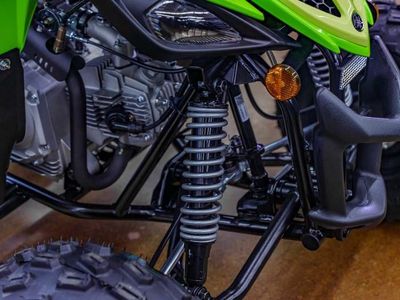 2026 Yamaha Raptor 110 - Photo 5