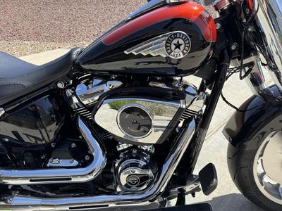 2025 Harley-Davidson FLFB - Fat Boy — photo 13 view