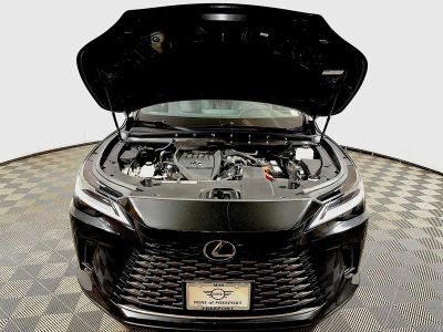 2023 Lexus RX 350 - Photo 30