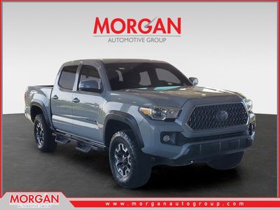 2019 Toyota Tacoma 2WD TRD Off Road in Gray — front three-quarter view