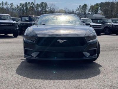 2026 Ford Mustang - Photo 8