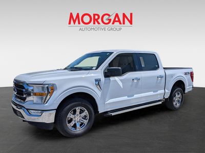 2023 Ford F-150 — photo 8 view