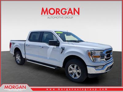 2023 Ford F-150 XLT in Oxford White — front three-quarter view