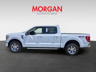 2023 Ford F-150 — photo 7 view