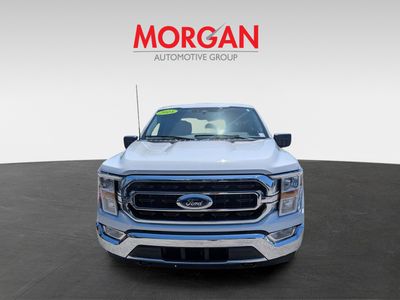 2023 Ford F-150 — photo 9 view