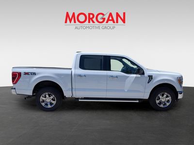 2023 Ford F-150 — rear three-quarter view
