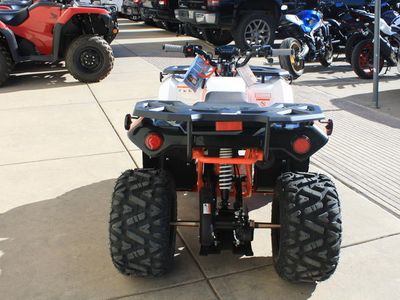 2025 Kayo Bull 125 EFI — engine compartment view