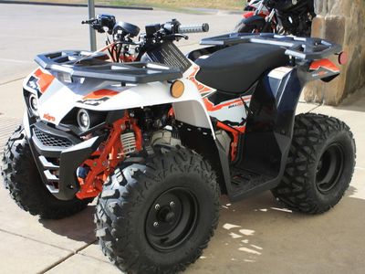 2025 Kayo Bull 125 EFI — rear three-quarter view